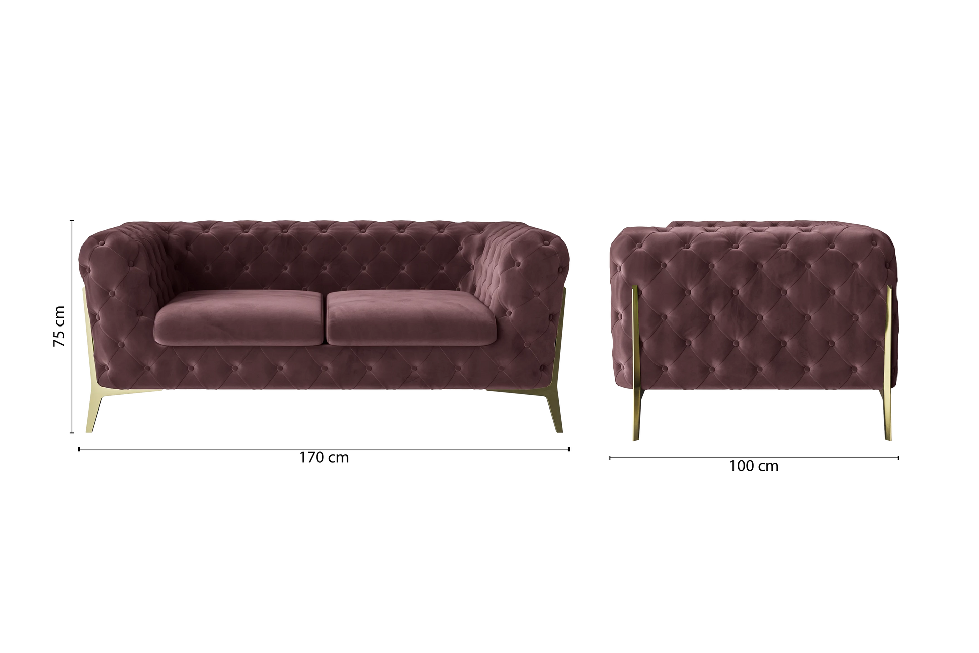 Vito 2 Seater Sofa Grape Velvet